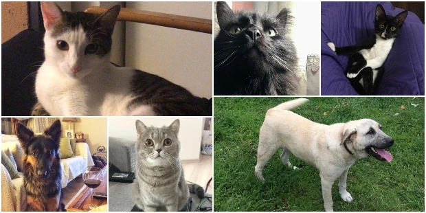 Seyahate Çıkanlar İçin Pratik Bilgiler